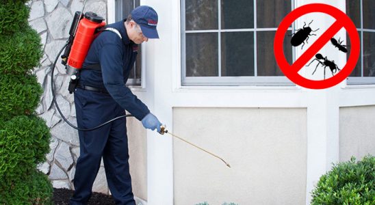 Kaynaşlı Dezenfeksiyon böcek ilaçlama ve haşere kontrolü — ilaclama-tr.com